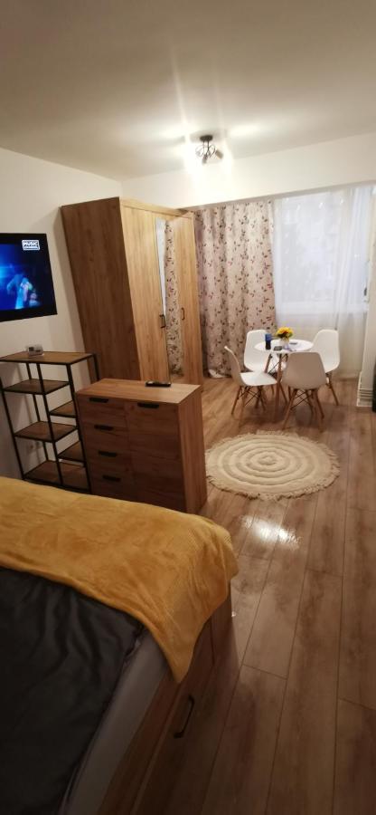 Ana Studio Apartment Targu Mures Exterior photo